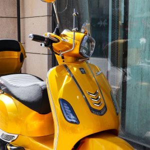 08 sinnis harrier 50